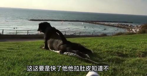 不会游泳搞笑视频,不会游泳的搞笑瞬间大盘点